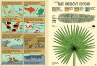 Którędy do Yellowstone? Wydawnictwo Dwie Siostry, książki dla dzieci