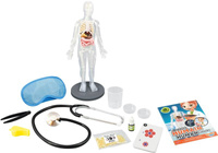Nauka i zabawa dla dzieci Ciało człowieka 2163 Buki