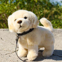 Pluszowy Golden Retriever ze smyczą 25 cm Rappa 231009 realistyczna i ekologiczna Maskotka dla dzieci