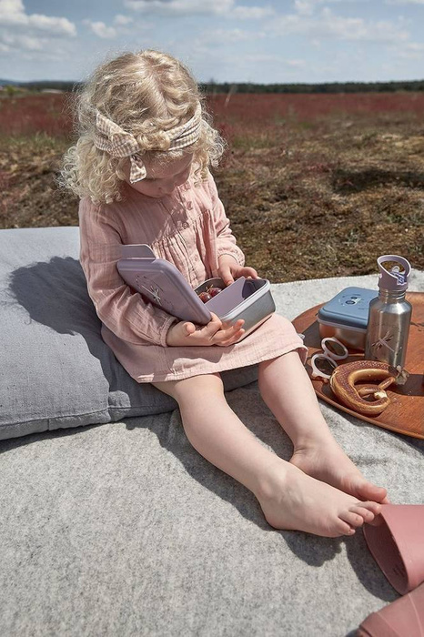 Stalowy Lunchbox Adventure Ważka 1210029332-Lassig, pudełka śniadaniowe dla dzieci