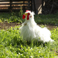 Pluszowy biały kogut 33 cm Rappa 211230