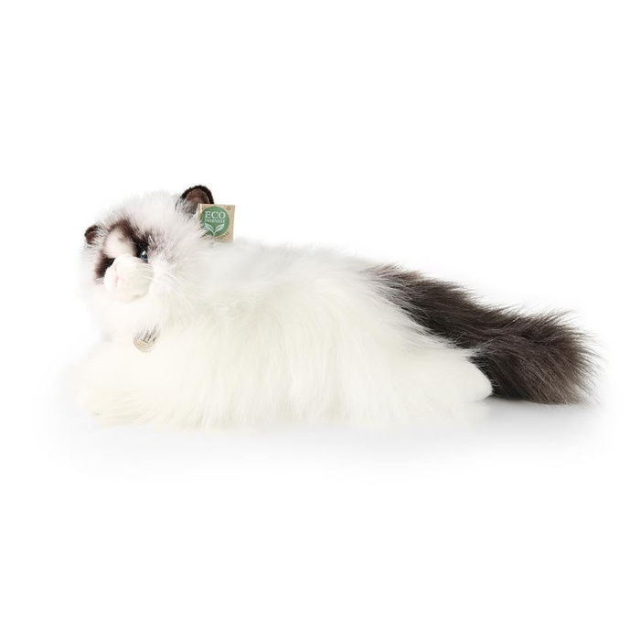 Pluszowy kot Ragdoll 35 cm Rappa 240407