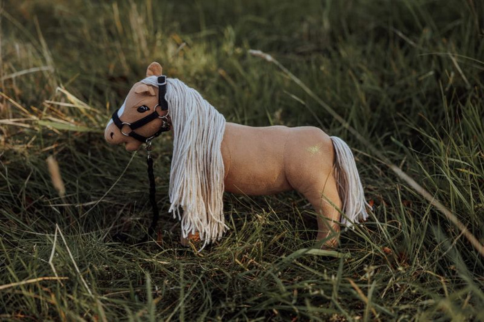 Kolekcja Minis Astrup Stajnia marzeń 4w1 Daisy różowy