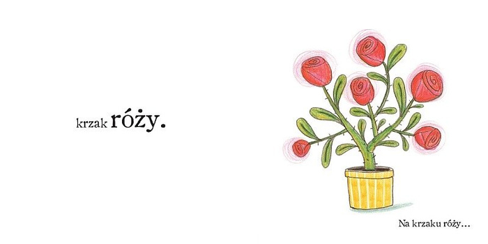 Przed moim domem. Wydawnictwo Dwie Siostry, książki dla dzieci