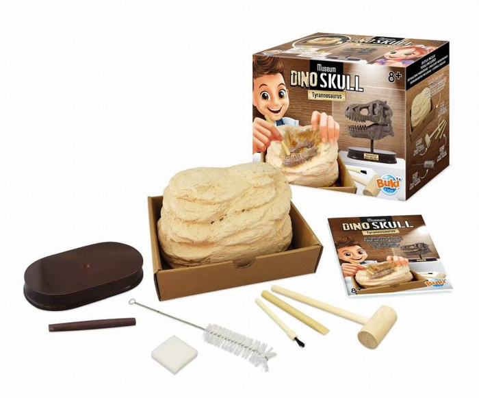 Muzeum czaszek dinozaura - TYRANOZAUR 2130-Buki, zabawki rozwojowe