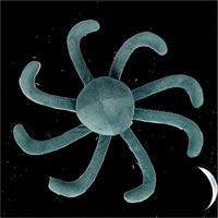 Pluszak obciążeniowy Sensoryczna Ośmiornica 1,2 kg Astrup 84686