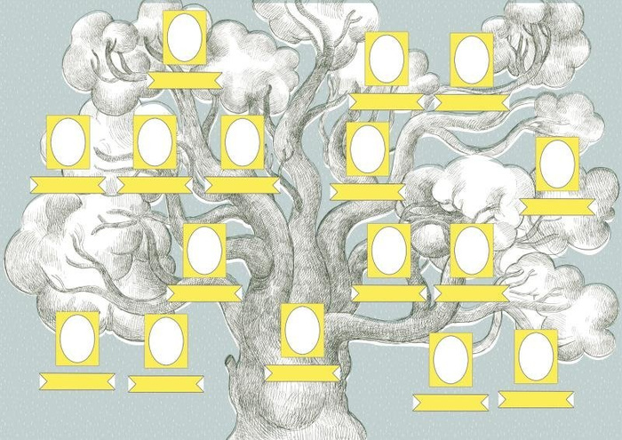 Moja Rodzina - drzewo genealogiczne, ZT8498-Zuzu Toys, książki edukacyjne dla dzieci