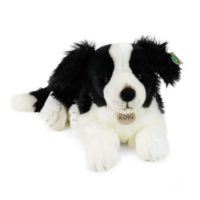Pluszowy piesek Border Collie 45 cm Rappa 210196