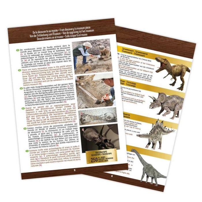 Muzeum czaszek dinozaura - TYRANOZAUR 2130-Buki, zabawki rozwojowe