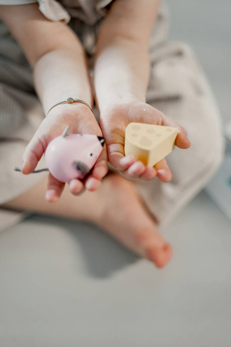 Drewniana układanka Orientacja w przestrzeni Kot i mysz J05078 Janod