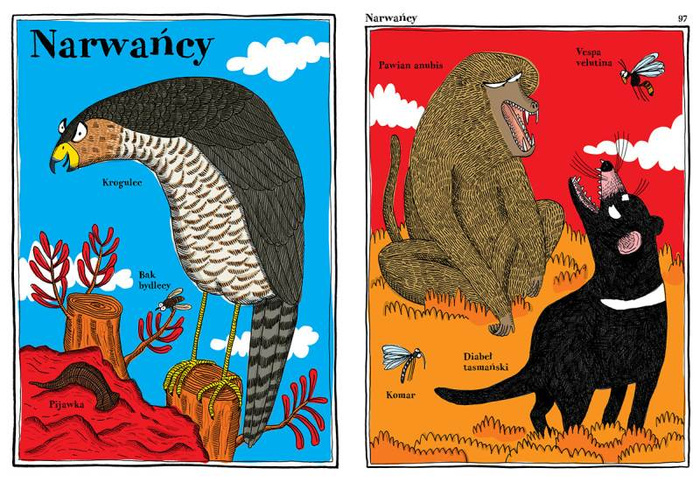 Narwańcy uwodziciele samotnicy Wydawnictwo Dwie Siostry, atlasy i książki dla dzieci