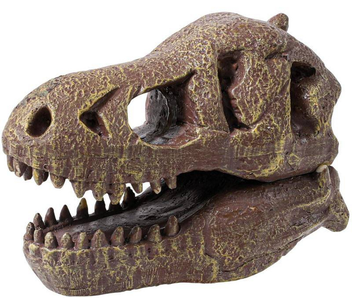 Muzeum czaszek dinozaura - TYRANOZAUR 2130-Buki, zabawki rozwojowe