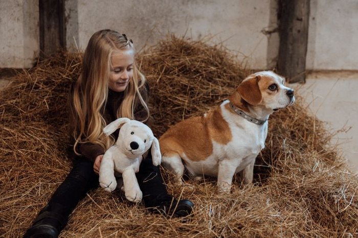 Maskotka piesek Mama ze szczeniakami 3 pluszaki dla dzieci w zestawie Astrup 84627