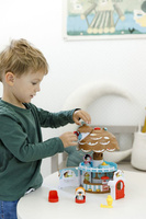 Lodziarnia Szyszka domek Klorofil 700217F