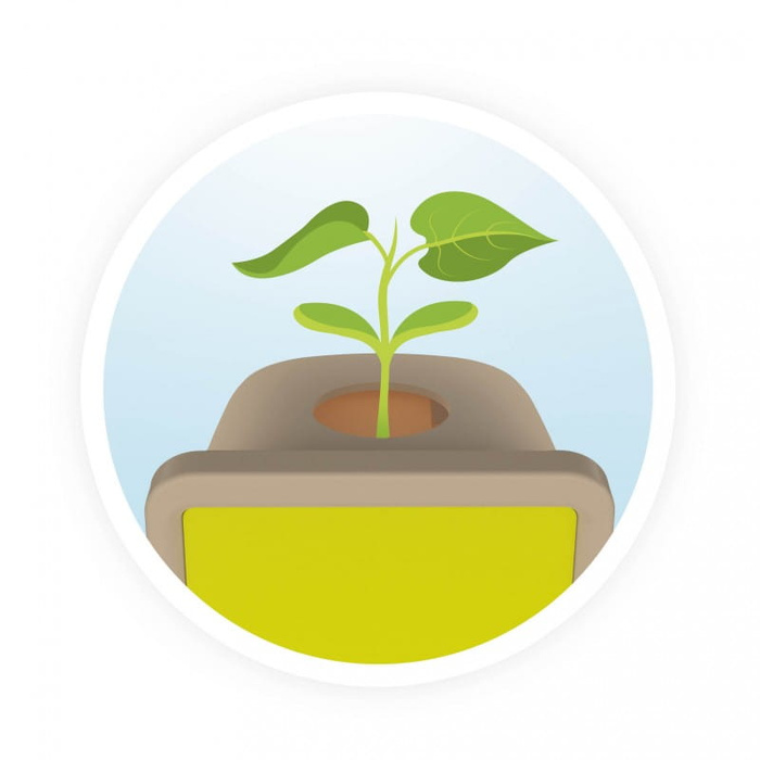 Mała szklarnia Obserwacja wzrostu roślinki Buki M001