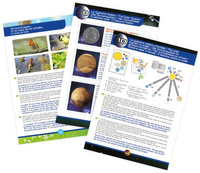 Nauka i zabawa dla dzieci Teleskop 15 doświadczeń TS006B Buki