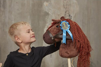 Rozeta dla konia na kiju 2 sztuki różowa i niebieska akcesoria do Hobby Horse Astrup 84223