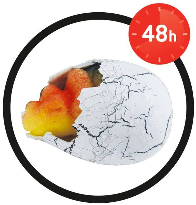 Nauka i zabawa dla dzieci Magiczne jajko dinozaura D6G Buki