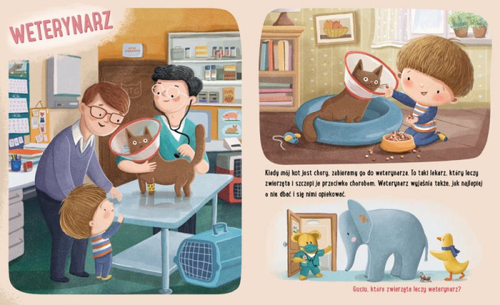 Feluś i Gucio poznają zawody Nasza Księgarnia książka dla dzieci