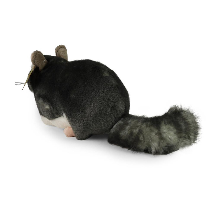 Pluszowa szynszyla 21 cm Rappa 221055