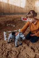 Przeszkoda mix dla koników Minis 30 cm Astrup 84635