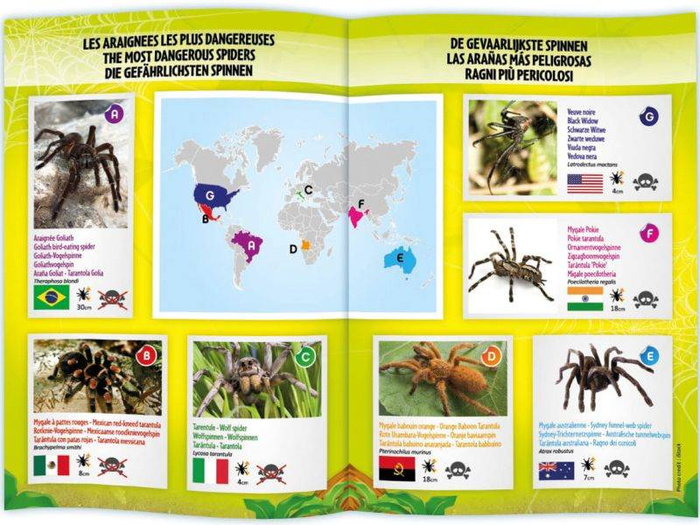 Nauka i zabawa dla dzieci Sterowana Tarantula 37291 Buki