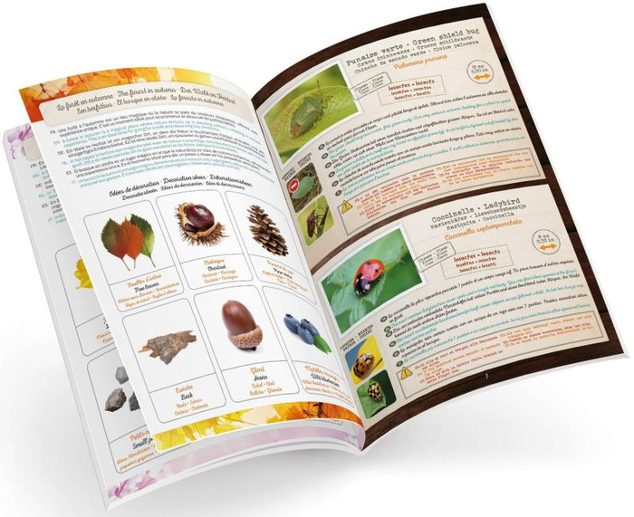 Terrarium małego odkrywcy Buki BL034 zabawy w domu i w plenerze